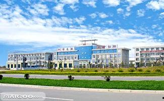 旭洋资料,揭秘企业成长背后的创新力量