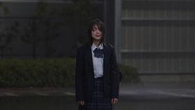 叶问妻子的家族背景,百年武术世家的传承与荣耀